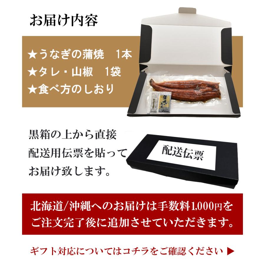 うなぎ蒲焼き 1尾 お歳暮 2023 プレゼント ギフト 鹿児島産 ギフト プレゼント 贈り物 のし 鰻 お祝い