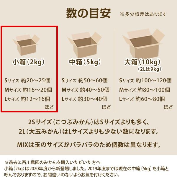 みかん 2kg (S M Lサイズ:早生)甘味と酸味が調和したみかん (出荷:11月下旬-1月)