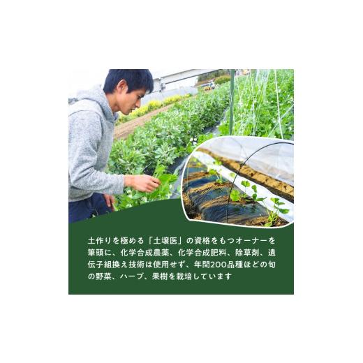 ふるさと納税 埼玉県 伊奈町 有機農家の採れたて季節野菜のセット