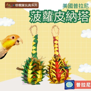 【現貨】美國普拉尼 Amigo 菠蘿皮納塔(小/大/特大) 天然/劍麻/棕櫚葉 天然棕櫚葉 鳥玩具 鸚鵡啃咬玩具 鸚鵡玩
