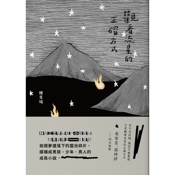 觀看流星的正確方式_Readmoo 讀墨電子書