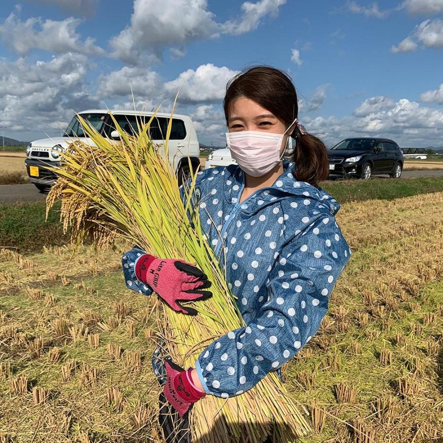 新米 米 お米 米10kg セット 食べ比べ （ 秋田県産 あきたこまち 5kg  宮城県産 ひとめぼれ 5kg ）白米 精米 令和5年産 御縁米（縁結び）150g付き