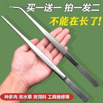 現貸916鑷子鑷子長加長版加硬水草多肉直圓頭動物餵食鑷子彎頭鑷子不鏽鋼