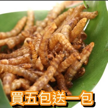 F邦邦水族<100g麵包蟲乾(買5送1)> 麵包蟲 刺蝟飼料 蜜袋鼯零食 鳥類 觀賞魚 寵物鼠 兩棲爬蟲