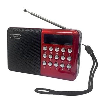 i-gota 愛購它 FM + MP3 隨身收音機 TF記憶卡+USB隨身碟播放支援  RDW-853  1個