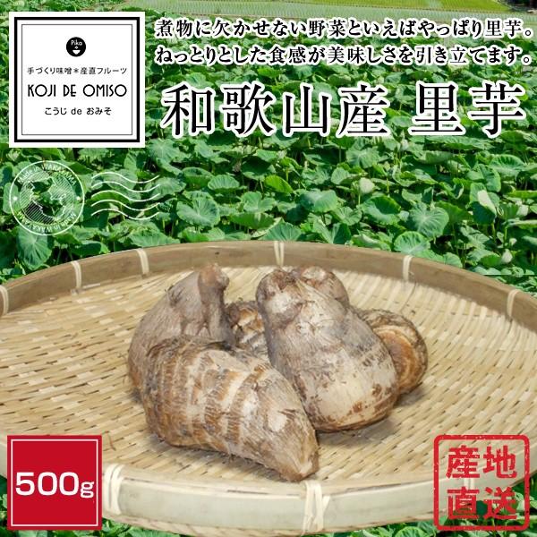 産地直送！和歌山産 里芋（さと芋）  500g