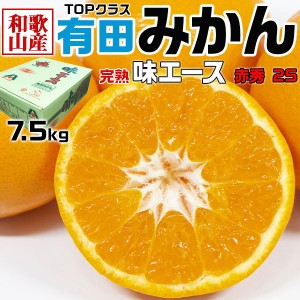 完熟 味エース 有田みかん 赤秀 小玉 2Sサイズ 7.5kg 贈答用 JAありだ糖度センサー選果お歳暮…