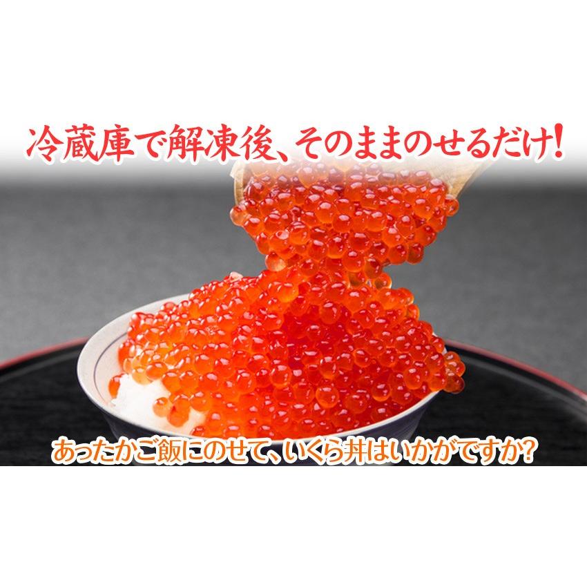 紅鮭いくら醤油漬け500g(250g×2)　イクラ がってん寿司 ギフト