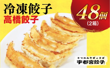 　餃子24個入り×2箱