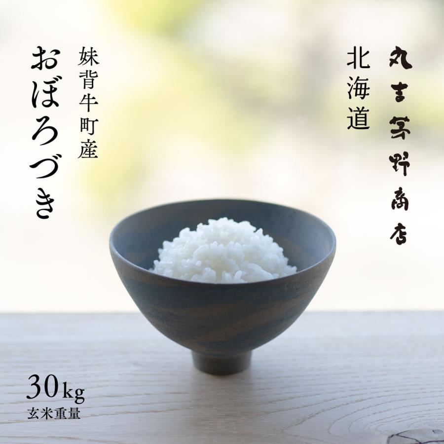 新米 産地限定 おぼろづき 30kg 北海道産 玄米 白米 令和5年産 米 お米 送料無料 真空パックに変更可