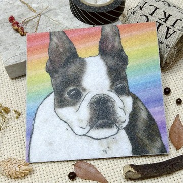 波士頓梗-不織布杯墊-吸水杯墊~彩虹暈染