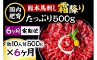 熊本馬刺し 霜降りたっぷり500g 50g×10パック 専用醤油付き