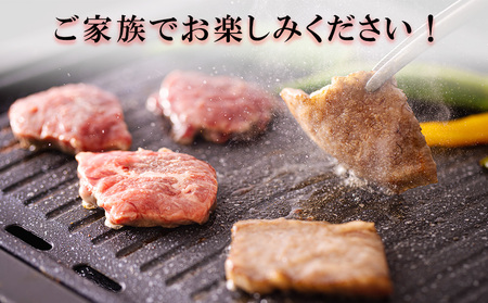 宮崎県産 和牛焼肉 セット 黒毛和牛 牛肉モモ 牛肉カルビ 豚バラ 豚肉 若鶏 鶏肉モモ 合計1.2kg 各300g 小分け 冷凍 送料無料 国産 牛肉 豚肉 鶏肉 BBQ バーベキュー肉 キャンプ 普段使い牛肉 豚肉 若鶏 肉 炒め物 牛丼 豚丼 カット 牛 豚 鶏肉詰め合わせ 経産牛