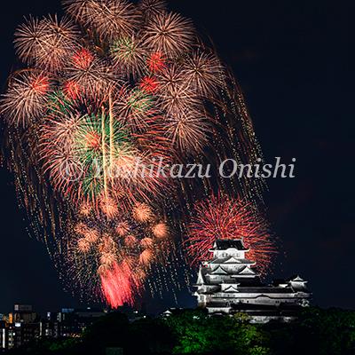 絶景姫路城 世界文化遺産・国宝 大西義和 写真