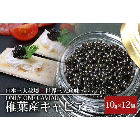 ふるさと納税 HEIKE CAVIAR 10g×12箱  チョウザメ キャビア 宮崎県椎葉村