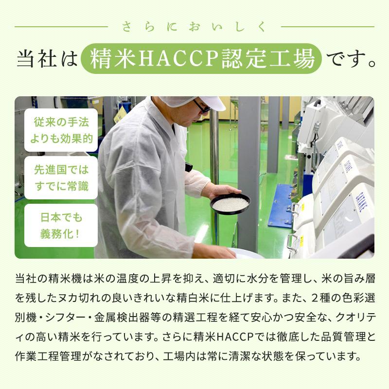 北海道産 厳撰ゆめぴりか 5kg セール お得 特A 令和５年産 真空パック対応 送料無料 お米 5kg 米　お米　米5kg