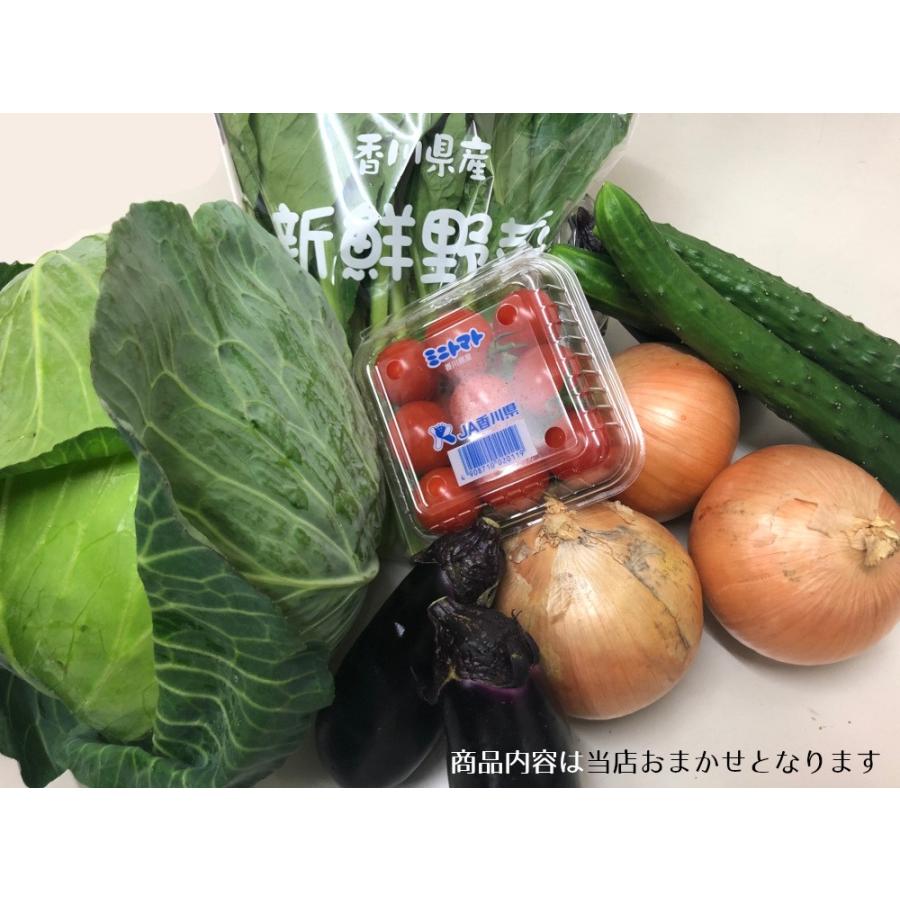 旬の新鮮野菜おまかせセット おまかせ５品目 国内産