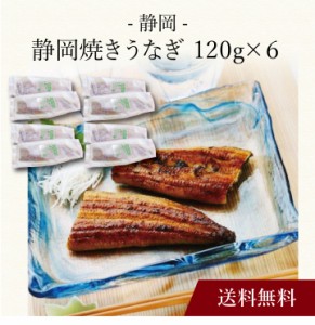 〔 静岡 静岡焼きうなぎ 〕お取り寄せ 送料無料 内祝い 出産内祝い 新築内祝い 快気祝い ギフト 贈り物