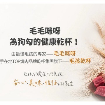 貓玩具 寵物肉乾 貓咪隧道