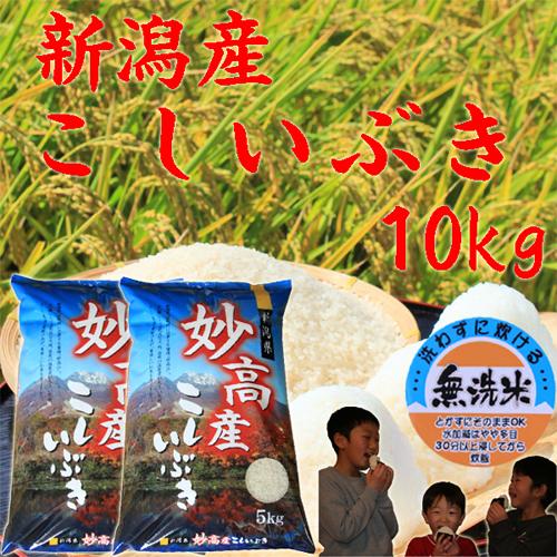 新米 無洗米 10kg 令和5年 新潟産 こしいぶき 米 10kg 無洗米 5kg×2袋 米10kg 農家直送  米１０キロ