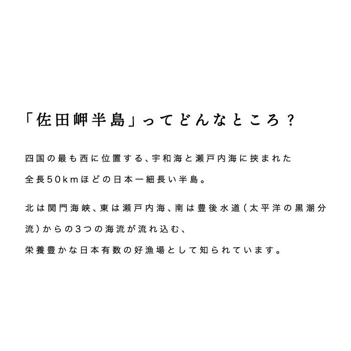 「塩蔵天然わかめ160g×2」  塩蔵天然わかめ 160g×2パック