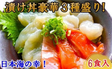 EY11：山芳亭　海鮮ミックス丼の素（境港サーモン・ふぐ・エビ）（６袋）