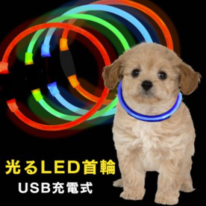 首輪 Ledライト首輪 Usb充電式 通販 Lineポイント最大1 0 Get Lineショッピング