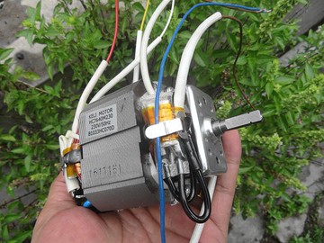 料理機電機 豆漿機榨汁機果汁機馬達 交流直流220V大功率串激馬達