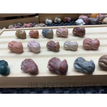 阿拉善趴趴狐 阿拉善九尾狐 阿拉善睡狐