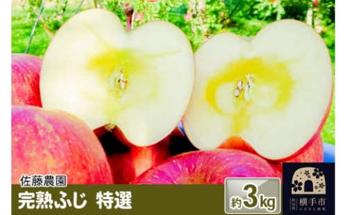 完熟ふじ特選 約3kg（8～9個入）