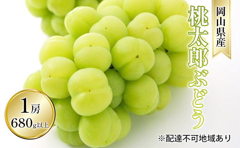 ぶどう 2024年 先行予約 桃太郎 ぶどう 1房 680g以上（露地栽培）贈答用 ブドウ 葡萄  岡山県産 国産 フルーツ 果物 ギフト