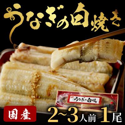 ふるさと納税 京丹後市 うなぎの白焼き2〜3人前(1尾)