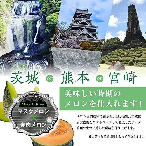 お中元 高知県産(旬な時期により北海道産を選定させていただく事がございます.） メロン 完熟 高級 赤秀A ※野菜ソムリエ監修 熨斗対応可能 (マスク