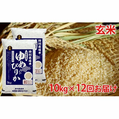 玄米 北海道赤平産 ゆめぴりか 10kg (5kg×2袋) 特別栽培米 【12回お届け】 米 北海道 定期便