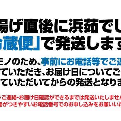 男鹿沖産 紅ズワイガニ550g前後×2匹