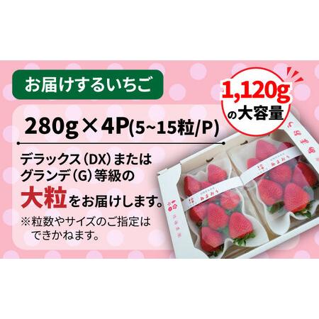 ふるさと納税 糸島産 春 あまおう 280g × 4パック (DXおよびGサイズ) 糸島市.. 福岡県糸島市