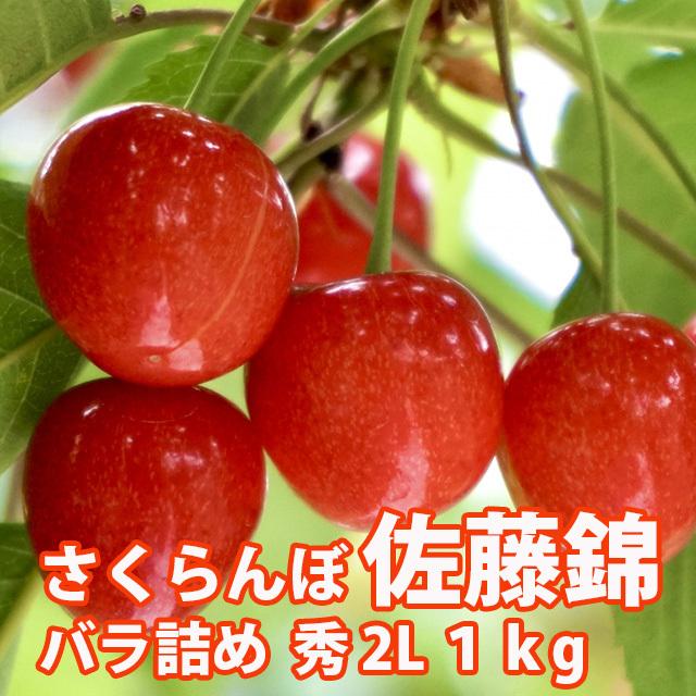 さくらんぼ 佐藤錦 送料無料 サクランボ 山形 秀２Ｌ (S-003)バラ詰め １kg 父の日 佐藤N 山形産 農家直送