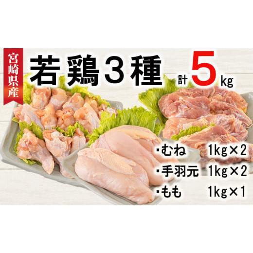 ふるさと納税 宮崎県 美郷町 宮崎県産 若鶏 むね 手羽元 もも 合計5kg 1kg包装 小分け 鶏肉 冷凍 送料無料 炒め物 煮込み 調理 料理 大容量 真空 胸 ジューシ…