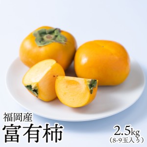 福岡産 富有柿 約2.5kg(8～9玉)