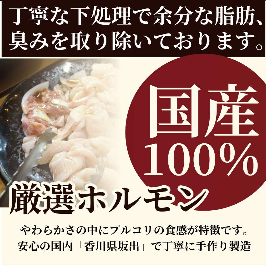 坂出ホルモン焼き スタミナ 国産 豚テッチャン 1kg (250g×4P) 焼肉 BBQ ホルモン焼き グルメ もつ キャンプ キャンプ飯＊送料無料