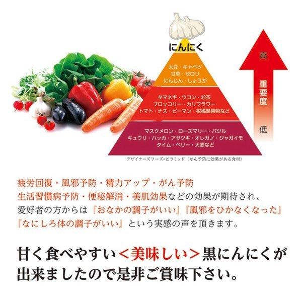 長期熟成 黒にんにく100g 富山産 減農薬栽培 無添加