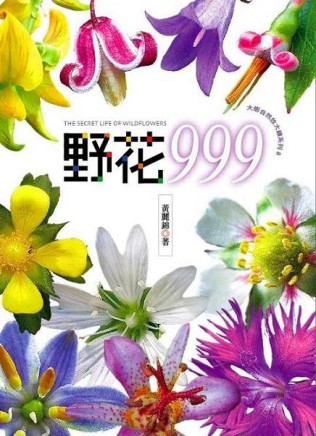 野花999【二手書_良好】TAAZE讀冊生活