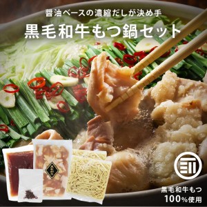 北九州駅弁当 博多の味 牛もつ鍋セット しょうゆ味 700g(2~3人前) 冷凍 国産 黒毛和牛 ちゃんぽんめん付 モツ 小腸 ホルモン 味付 お歳暮