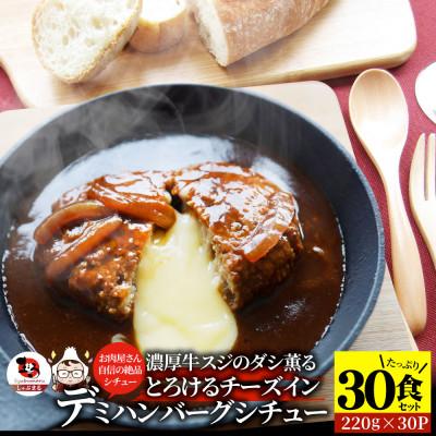 ふるさと納税 三木町 チーズイン ハンバーグシチュー 濃厚デミグラスソース 30食セット