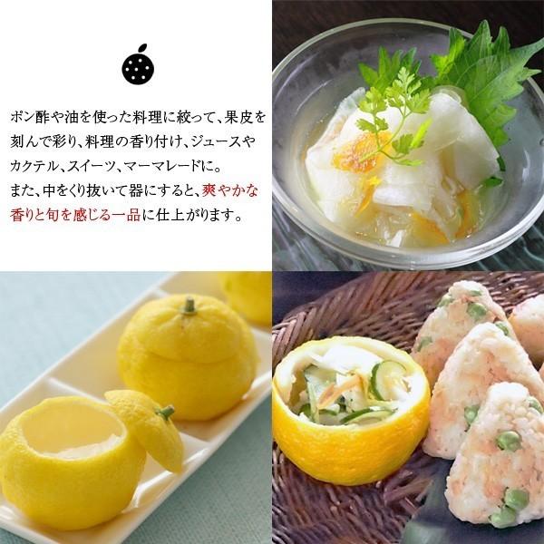 産地直送！ 和歌山産 本柚子（ゆず） 500g