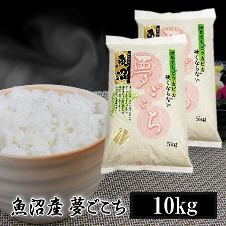 新米 米 10kg 5kg×2 魚沼産夢ごこち 令和5年産 白米 送料無料（北海道・九州・沖縄は除く）離島は発送不可