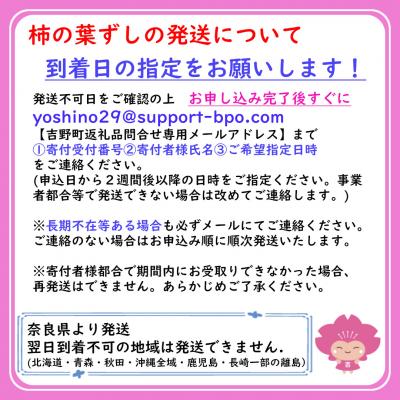 ふるさと納税 吉野町 柿の葉寿司28個入り(鮭14・鯖14)