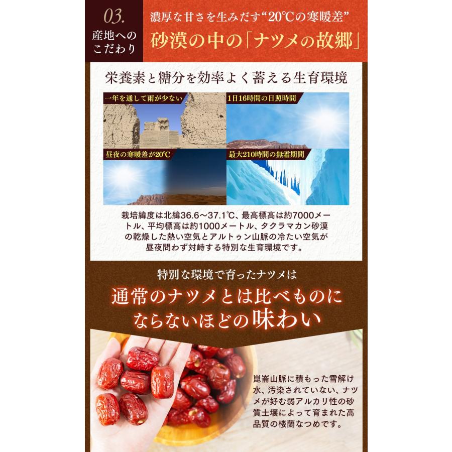 なつめ ナトゥリー 楼蘭なつめ ドライ あんしん種なし 70g ナツメ ドライフルーツ 棗