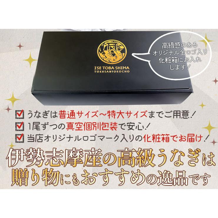 うなぎ 伊勢志摩産 白焼き 中サイズ １尾 送料無料 国産 ウナギ 鰻 蒲焼き 丑の日 個包装 冷凍 化粧箱入 お歳暮 ギフト