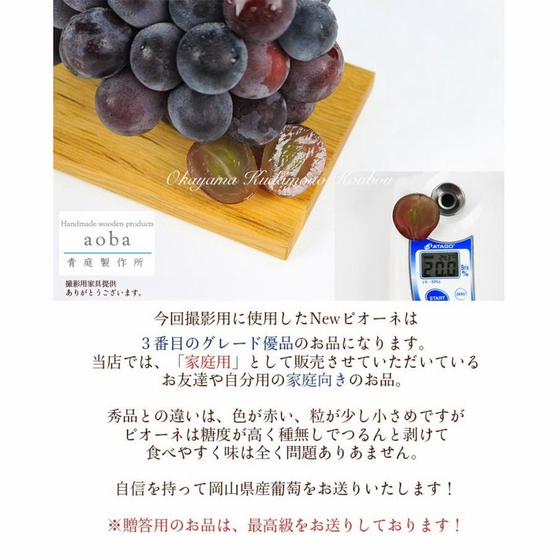 専用のお品物となります 葡萄 ぶどう狩りピオーネ狩りシャイン